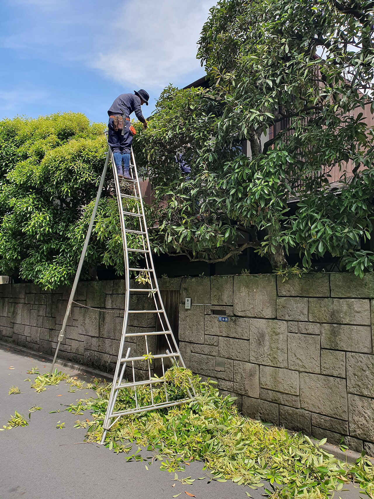 脚立を使った作業